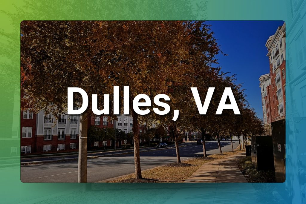 Dulles, VA Chiropractic Practice for Sale