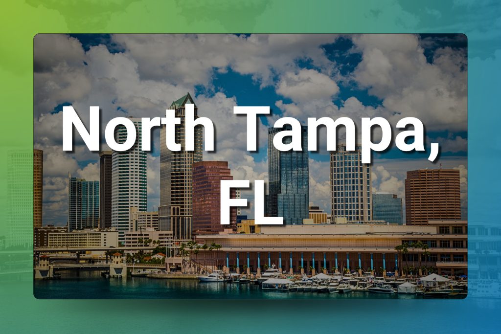 North Tampa FL Chiropractic Practice for Sale