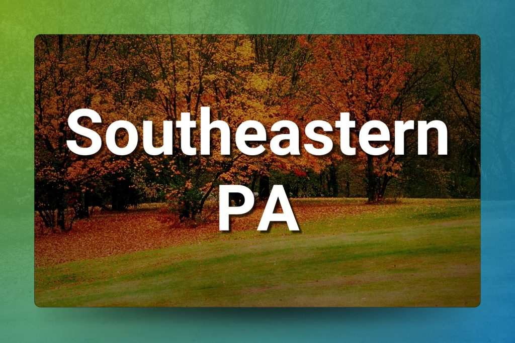 Profitable Chiropractic Practice for Sale in Southeastern PA